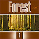 FOREST 1