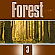FOREST 3
